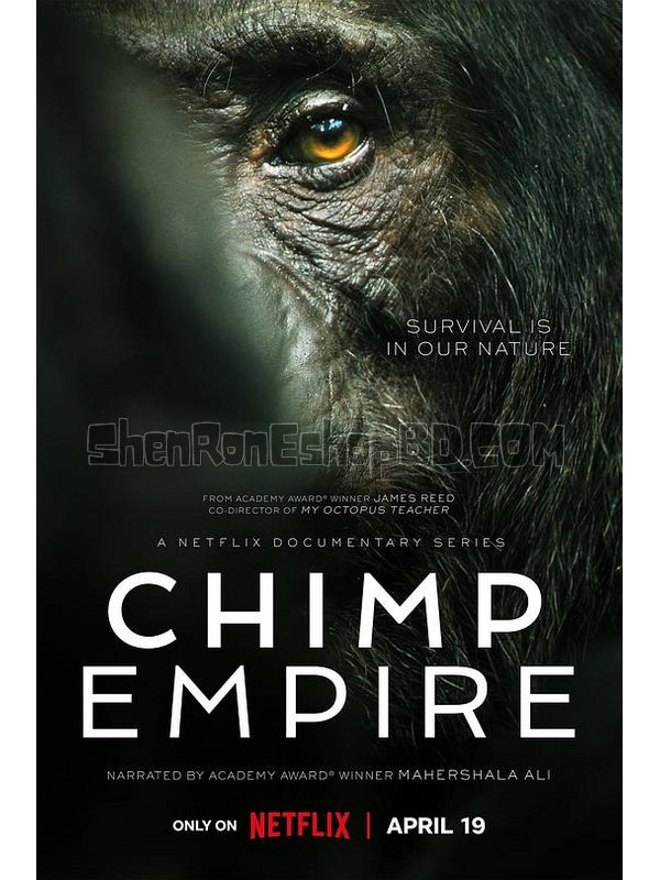 SRB34585 【黑猩猩帝國 Chimp Empire‎】紀錄片 BD25G 不附粵配 附中文字幕 01碟