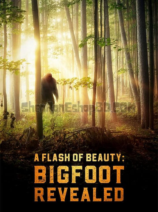 SRB35154 【美麗的閃光：大腳怪揭秘 A Flash Of Beauty：Bigfoot Revealed】紀錄片 BD25G 不附粵配 附中文字幕 01碟