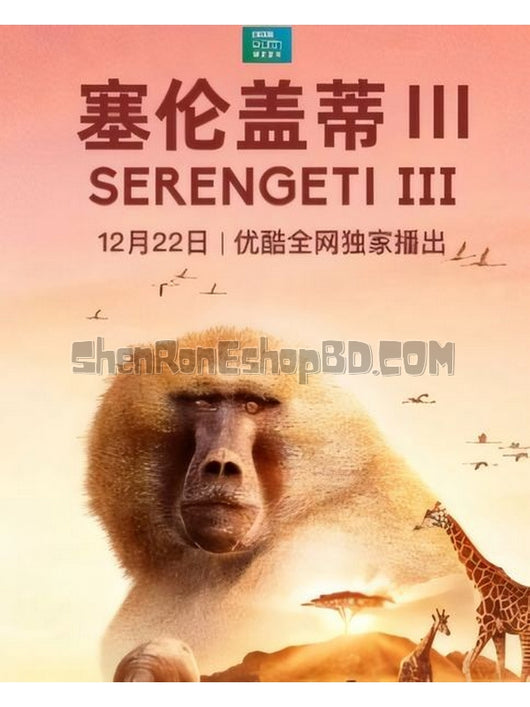 SRB36468 【塞倫蓋蒂 第三季 Serengeti Season 3】紀錄片 BD25G 不附粵配 附中文字幕 02碟