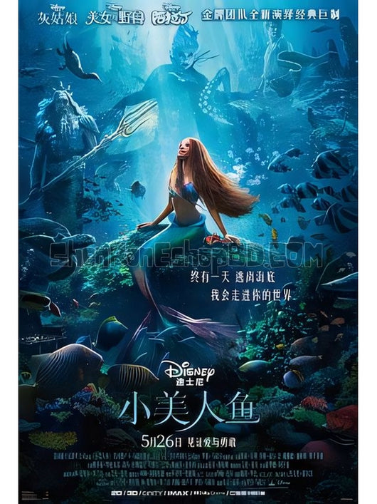 SRB37399 【小美人魚/ 小美人魚真人版 The Little Mermaid】電影 BD50G 不附粵配 附中文字幕 01碟