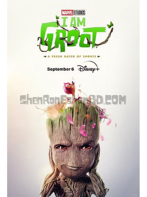 SRB37856 【我是格魯特 第二季 I Am Groot Season 2‎】劇集 BD25G 不附粵配 附中文字幕 01碟