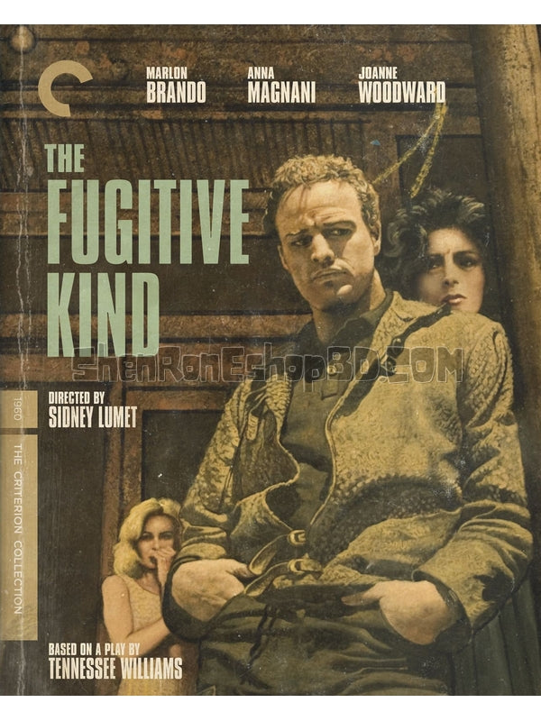 SRB38804 【逃亡者/ 欲火情焰 The Fugitive Kind‎】電影 BD25G 不附粵配 附中文字幕 01碟