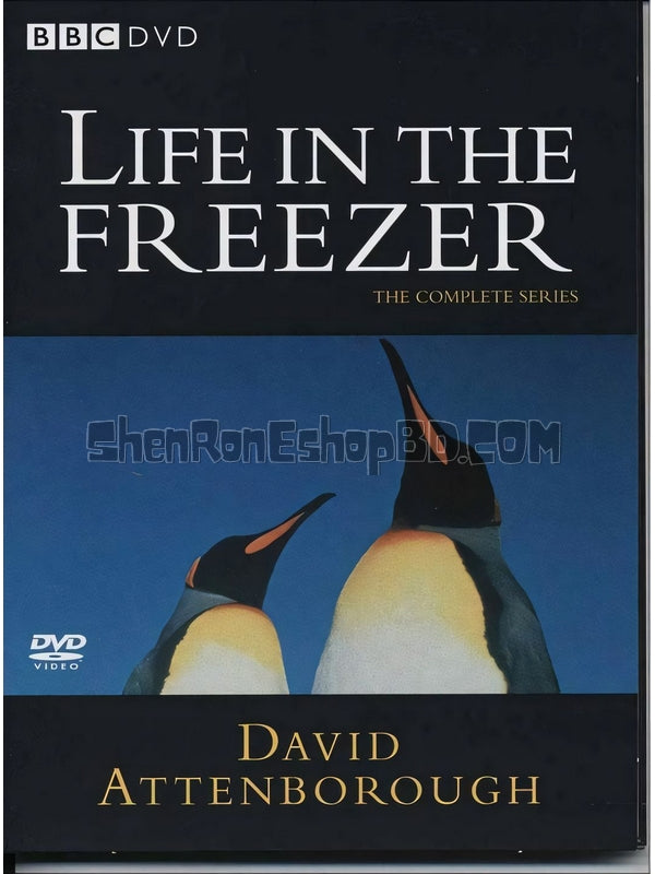 SRB39553 【Bbc：冰雪的童話 Life In The Freezer‎】紀錄片 BD25G 不附粵配 附中文字幕 02碟