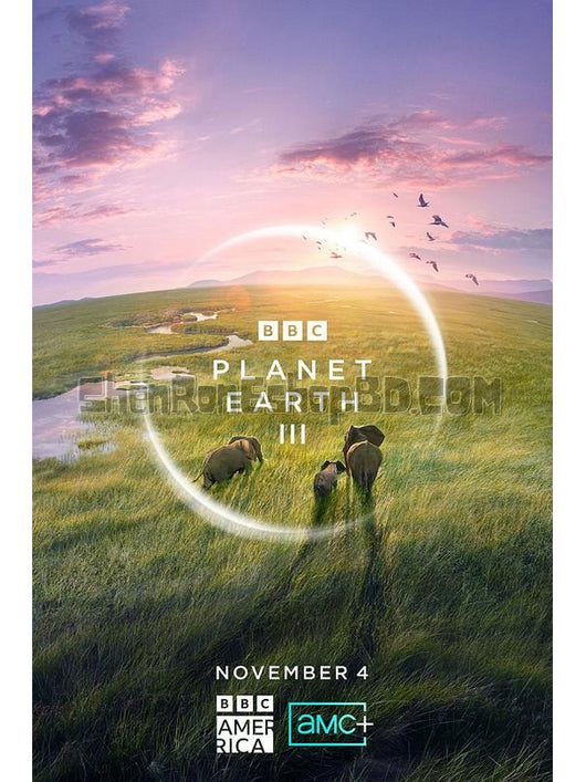 SRB39638 【地球脈動 第三季 Planet Earth Season 3‎】紀錄片 BD50G 不附粵配 附中文字幕 03碟