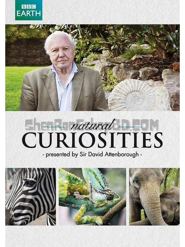 SRB40678 【自然趣聞/ 奇妙大自然 第一季 David Attenborough'S Natural Curiosities Season 1‎】紀錄片 BD25G 不附粵配 附中文字幕 01碟