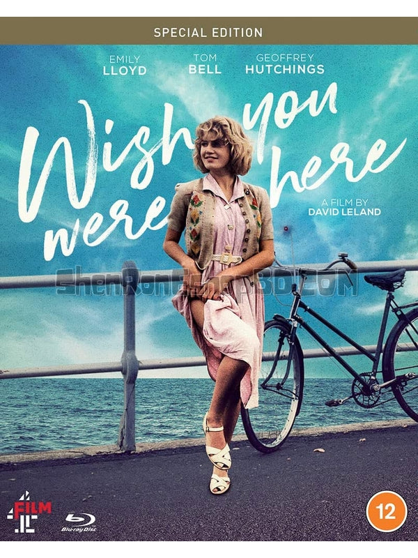 SRB41016 【願在你身邊/ 不羈的少女 Wish You Were Here】劇集 BD50G 不附粵配 附中文字幕 01碟