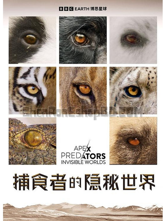 SRB41921 【捕食者的隱秘世界 Apex Predators: Invisible Worlds‎】紀錄片 BD25G 不附粵配 附中文字幕 01碟