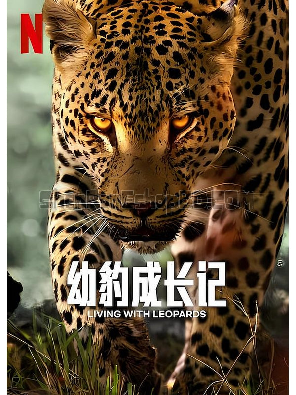 SRB42423 【幼豹成長記/小豹的驚奇旅程 Living With Leopards‎】紀錄片 BD25G 不附粵配 附中文字幕 01碟