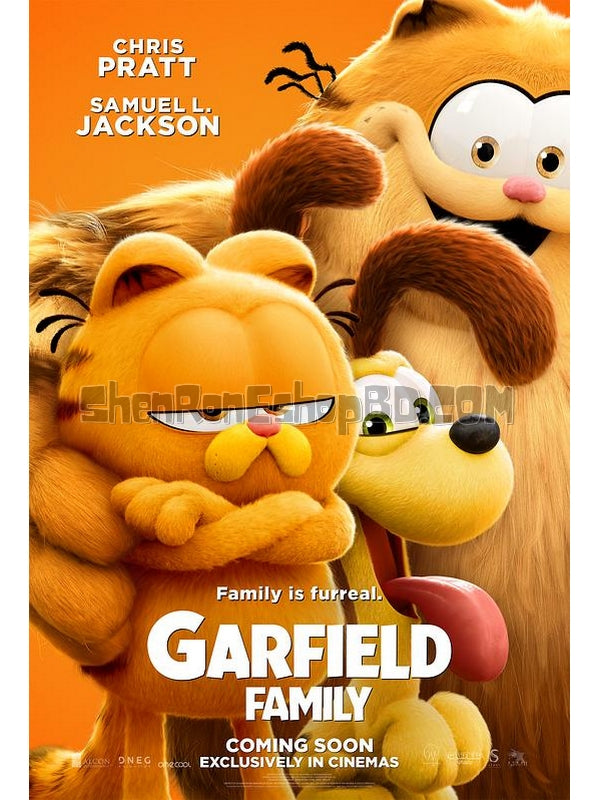 SRB42488 【加菲貓家族/加菲貓大電影 The Garfield Movie】動畫 BD25G 不附粵配 附中文字幕 01碟 正式版