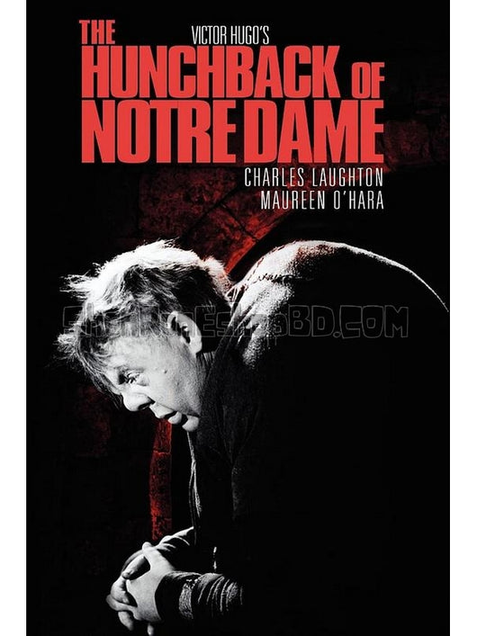 SRB42708 【巴黎聖母院/鐘樓怪人 The Hunchback Of Notre Dame】劇集 BD50G 不附粵配 附中文字幕 01碟