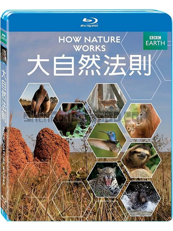 SRB42819 【自然的運作/探尋大自然的運作法則 How Nature Works】紀錄片 BD50G 不附粵配 附中文字幕 01碟