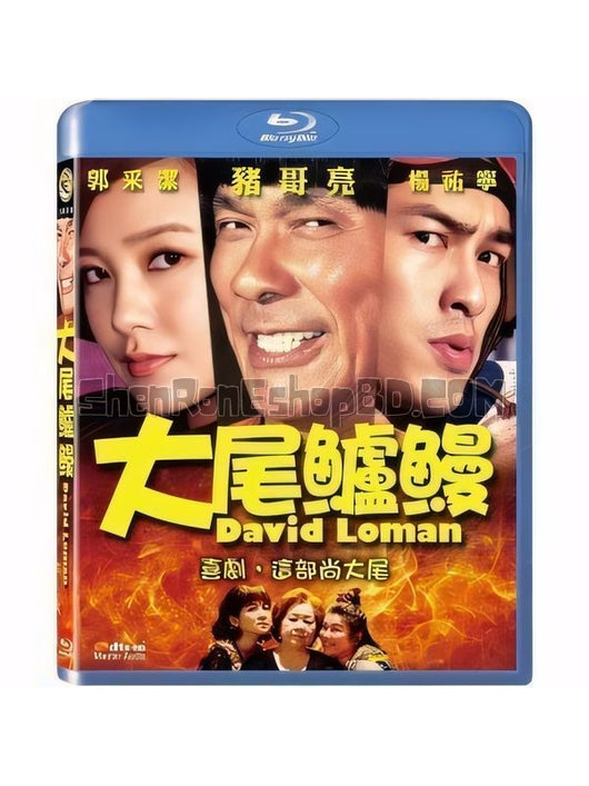 SRB05349 【大尾鱸鰻2 David Loman 2】電影 BD25G 不附粵配 附繁中字幕 01碟