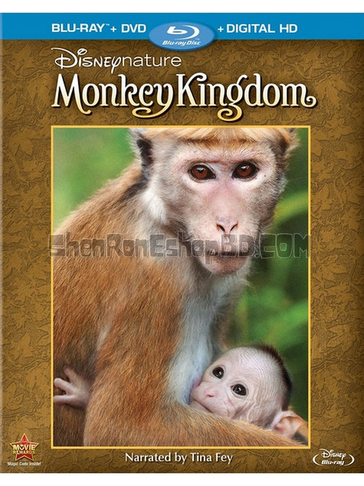 SRB06186 【猴子王國/ 獼猴王國 Disneynature Monkey Kingdom】紀錄片 BD50G 不附粵配 不附繁中字幕 01碟