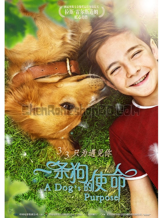 SRB06938 【一條狗的使命 A Dog'S Purpose】電影 BD25G 不附粵配 不附繁中字幕 01碟