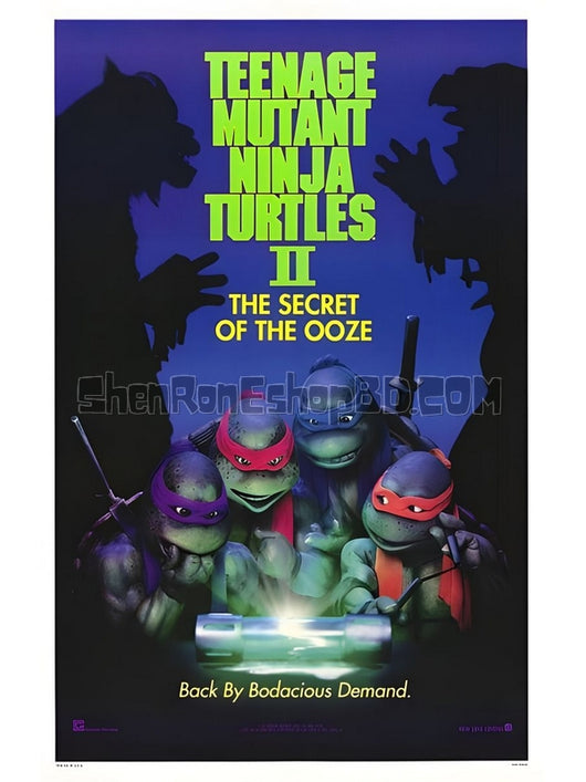 SRB06981 【忍者神龜2 Teenage Mutant Ninja Turtles】動畫 BD25G 不附粵配 附繁中字幕 01碟