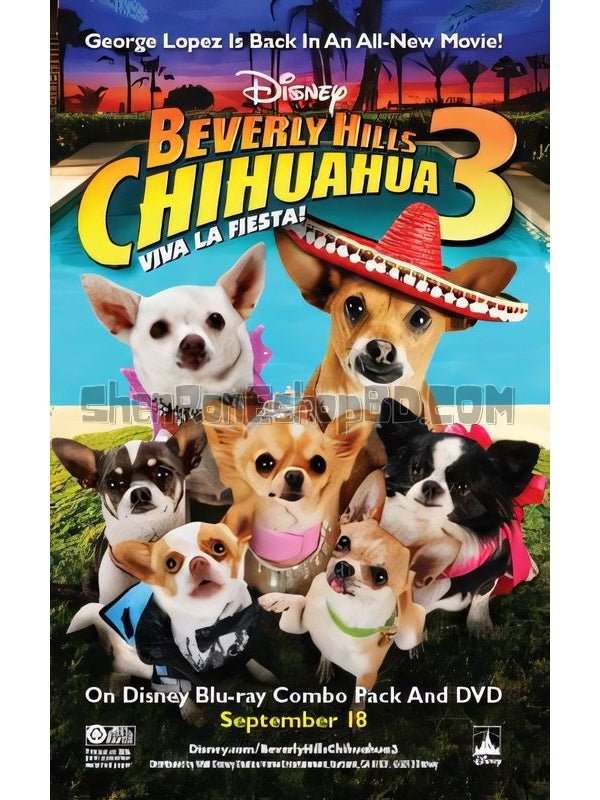 SRB07072 【比佛利拜金狗3 Beverly Hills Chihuahua 3】電影 BD50G 不附粵配 附繁中字幕 01碟