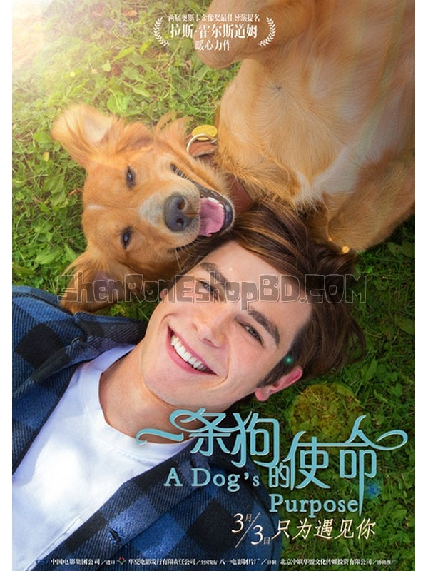 SRB07183 【一條狗的使命 A Dog'S Purpose】劇集 BD50G 不附粵配 附繁中字幕 01碟