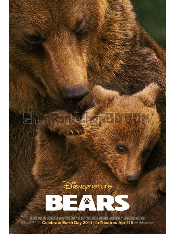 SRB07639 【熊世界 阿拉斯加的棕熊 Bears】紀錄片 BD50G 不附粵配 不附繁中字幕 01碟